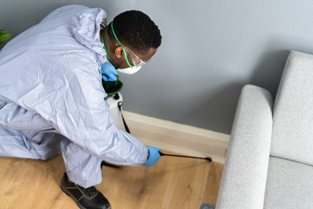 Best Residential Pest Control  in Washingtonville, NY